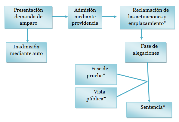 recurso de amparo constitucional