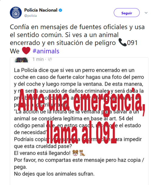 Qué hacer si ves un perro encerrado en un coche - El Rincón Jurídico